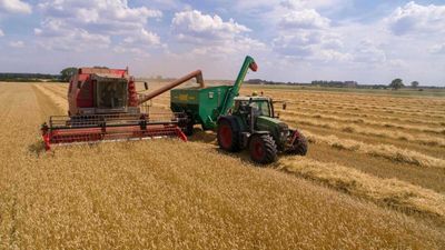 Wheat Falling Back on Tuesday